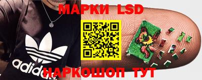 крисы Беслан