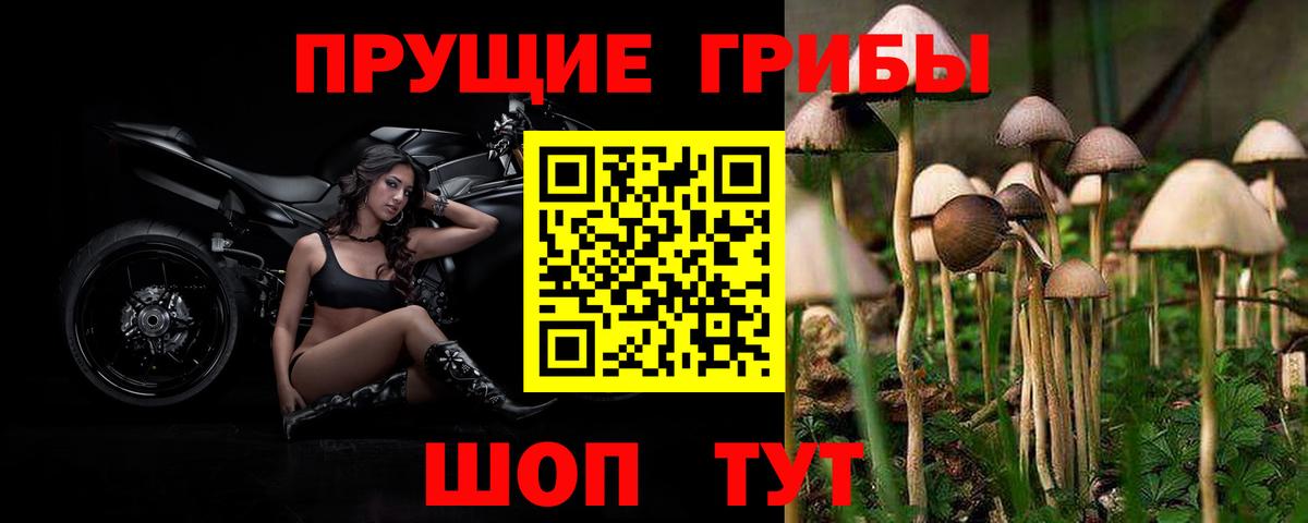 Галлюциногенные грибы мицелий  Вход с VPN  купить закладку  Кириши 